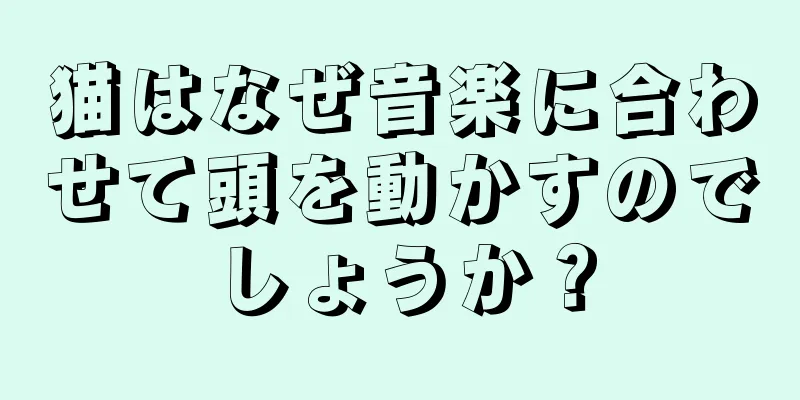 猫はなぜ音楽に合わせて頭を動かすのでしょうか？