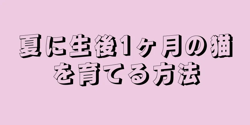 夏に生後1ヶ月の猫を育てる方法