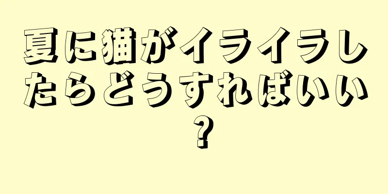 夏に猫がイライラしたらどうすればいい？