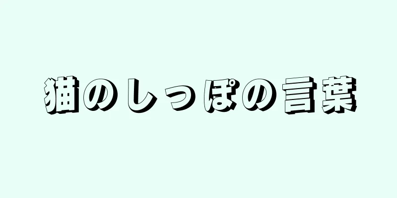 猫のしっぽの言葉