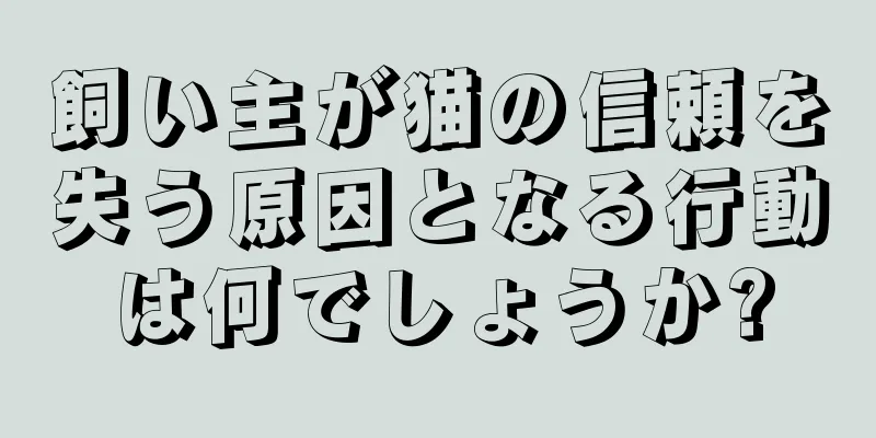飼い主が猫の信頼を失う原因となる行動は何でしょうか?