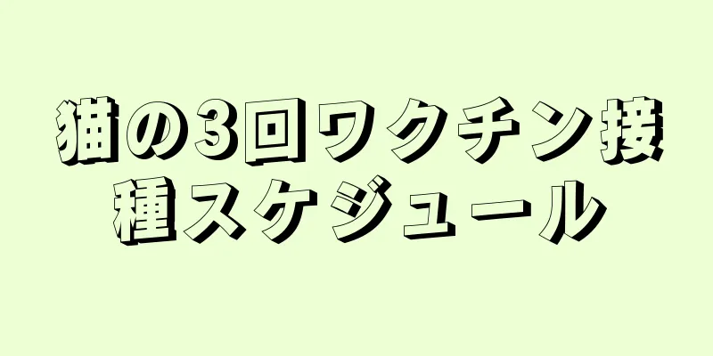 猫の3回ワクチン接種スケジュール