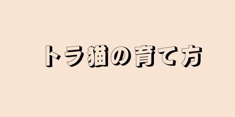 トラ猫の育て方