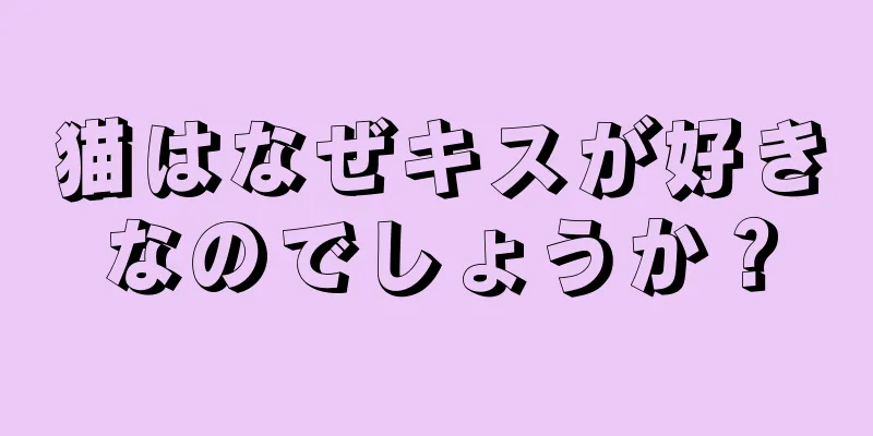 猫はなぜキスが好きなのでしょうか？
