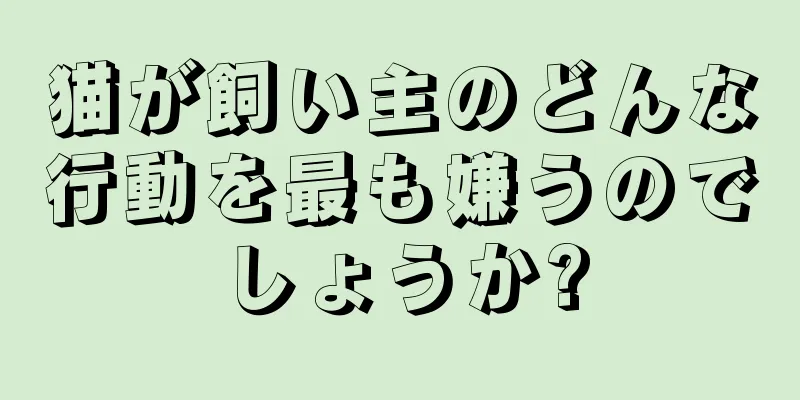 猫が飼い主のどんな行動を最も嫌うのでしょうか?