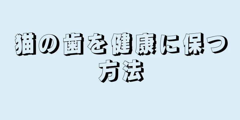 猫の歯を健康に保つ方法