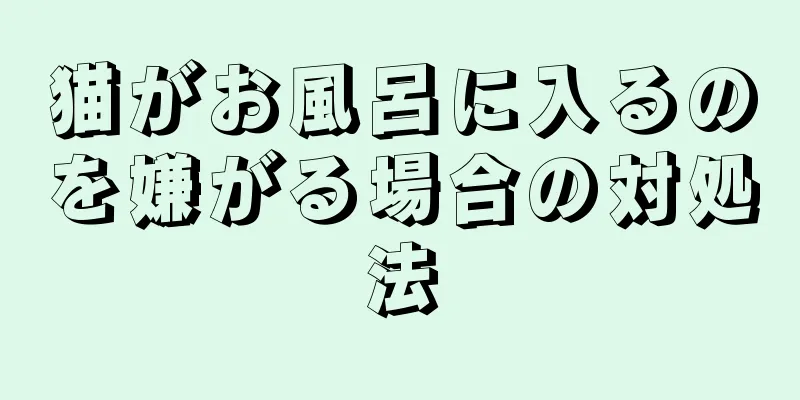 猫がお風呂に入るのを嫌がる場合の対処法