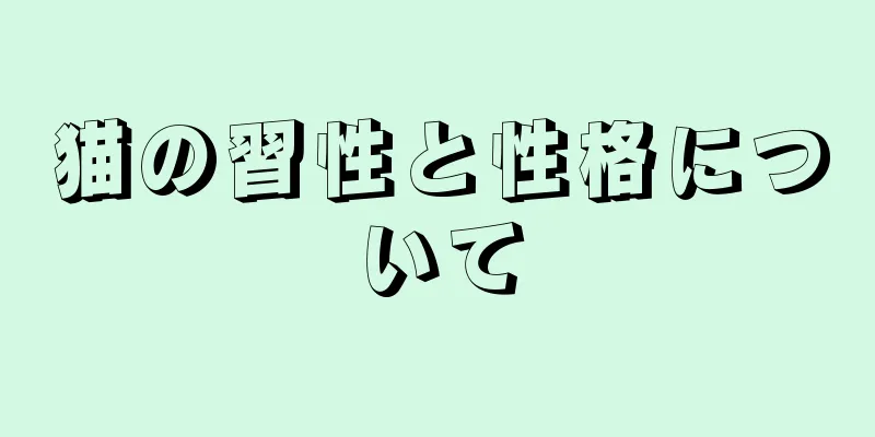 猫の習性と性格について