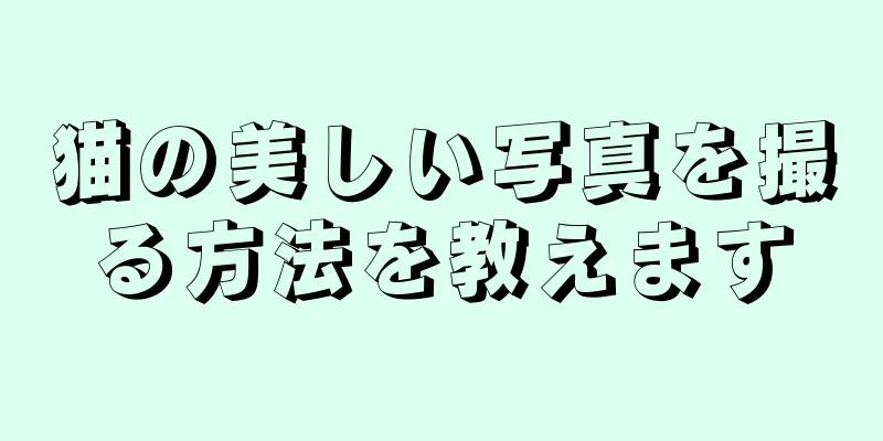 猫の美しい写真を撮る方法を教えます