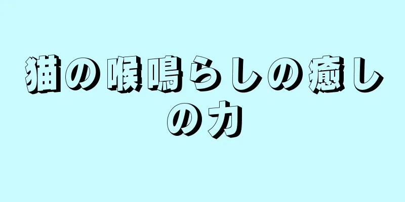 猫の喉鳴らしの癒しの力