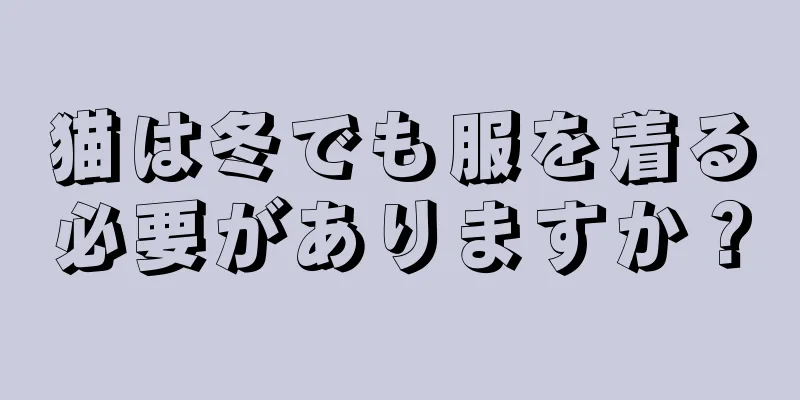 猫は冬でも服を着る必要がありますか？