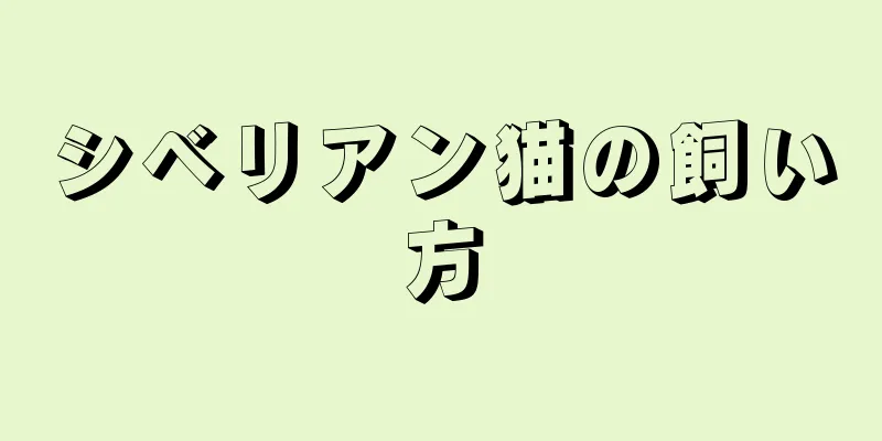シベリアン猫の飼い方