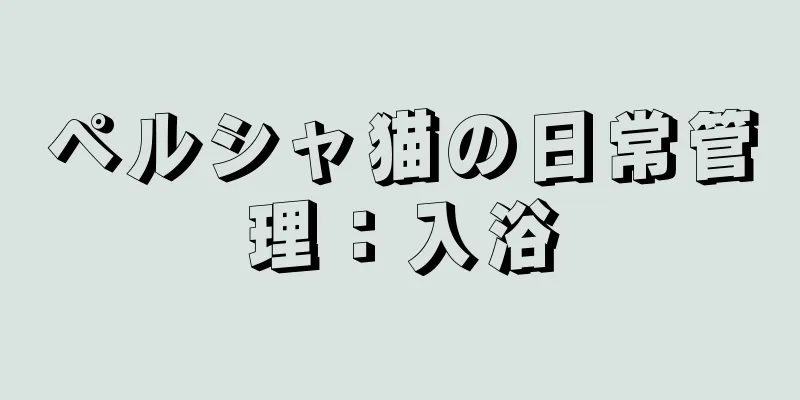 ペルシャ猫の日常管理：入浴