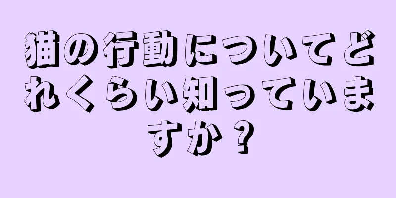 猫の行動についてどれくらい知っていますか？