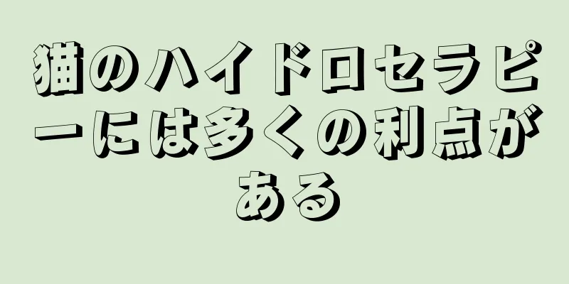 猫のハイドロセラピーには多くの利点がある