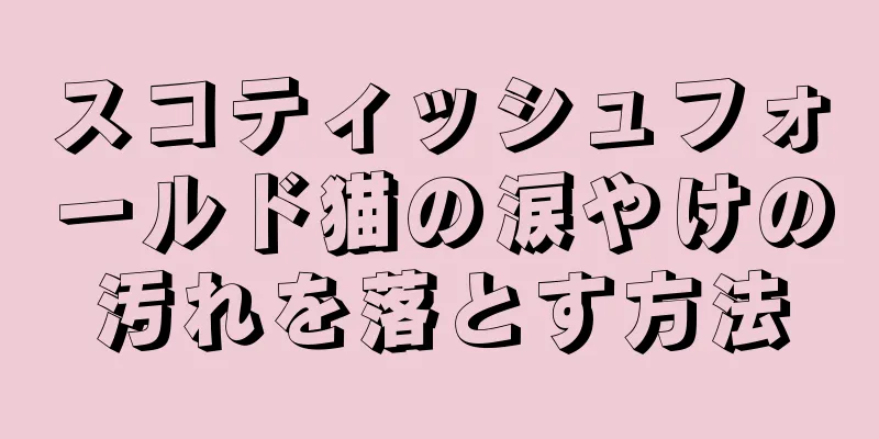 スコティッシュフォールド猫の涙やけの汚れを落とす方法