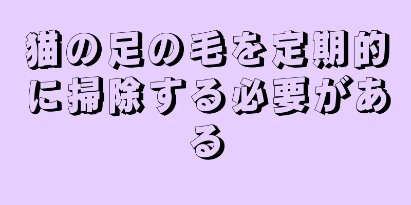 猫の足の毛を定期的に掃除する必要がある