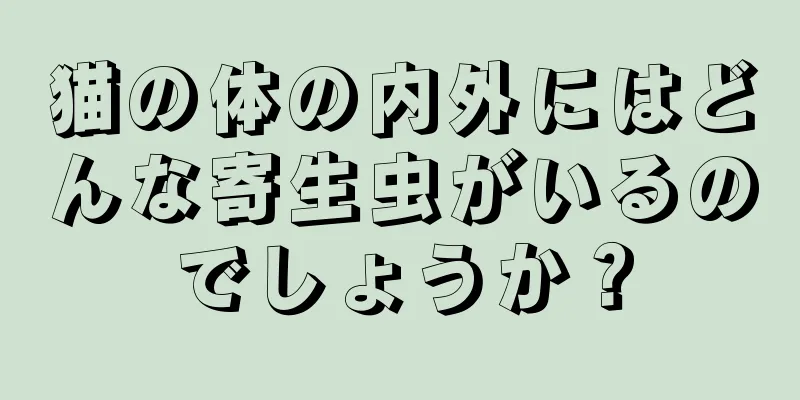猫の体の内外にはどんな寄生虫がいるのでしょうか？