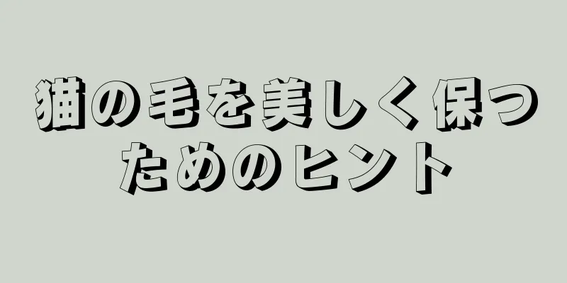 猫の毛を美しく保つためのヒント