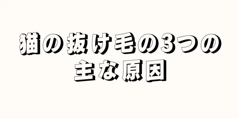 猫の抜け毛の3つの主な原因