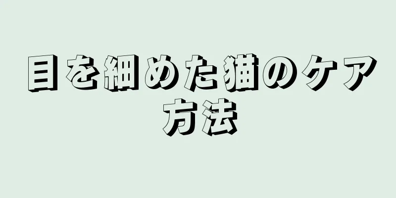 目を細めた猫のケア方法