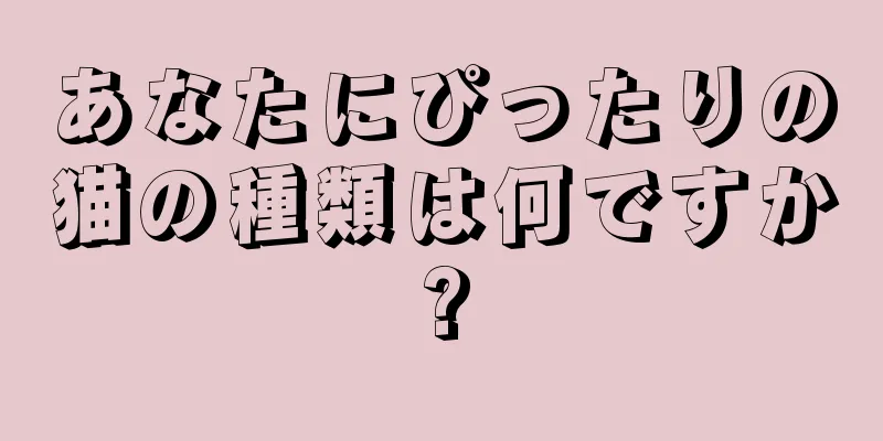 あなたにぴったりの猫の種類は何ですか?