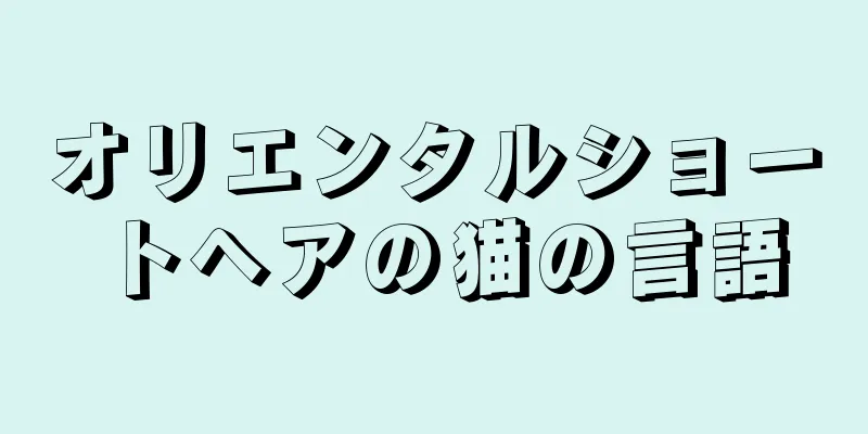 オリエンタルショートヘアの猫の言語