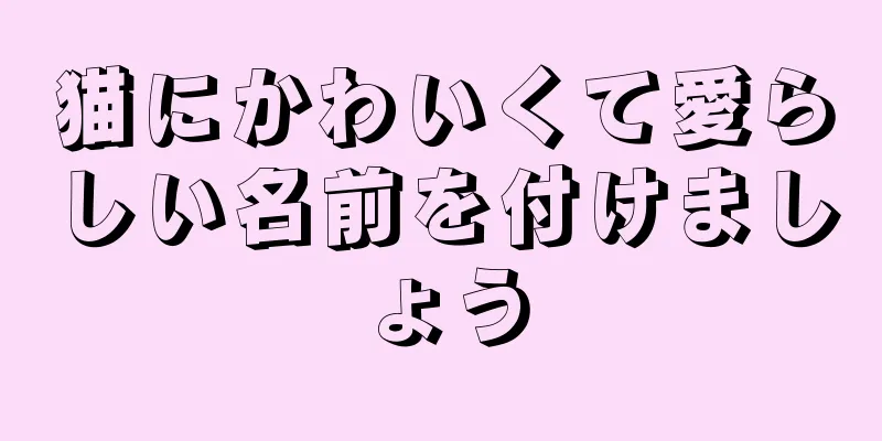猫にかわいくて愛らしい名前を付けましょう