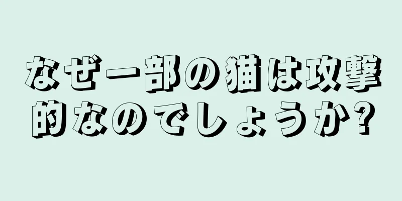 なぜ一部の猫は攻撃的なのでしょうか?