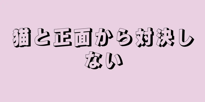 猫と正面から対決しない