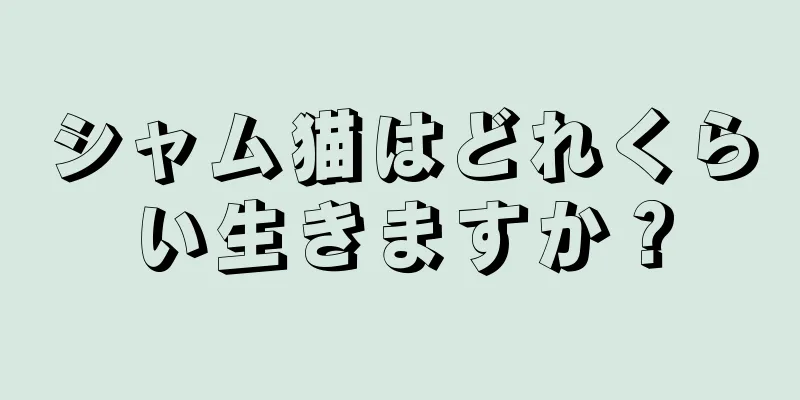 シャム猫はどれくらい生きますか？