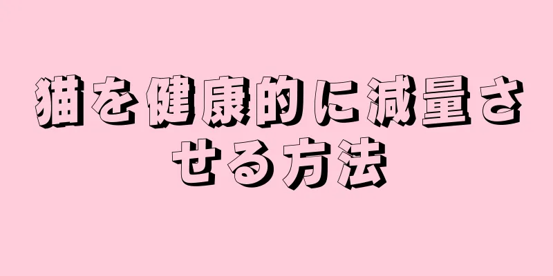 猫を健康的に減量させる方法