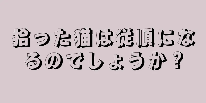 拾った猫は従順になるのでしょうか？