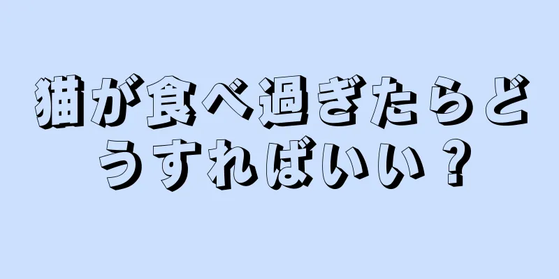 猫が食べ過ぎたらどうすればいい？