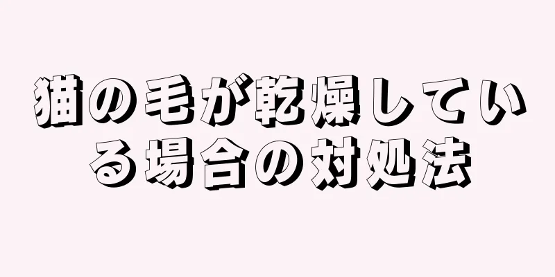 猫の毛が乾燥している場合の対処法