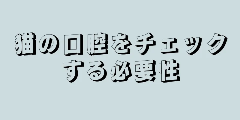 猫の口腔をチェックする必要性