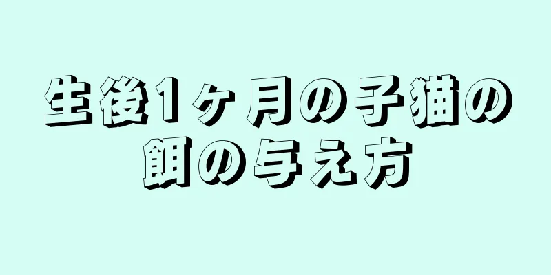 生後1ヶ月の子猫の餌の与え方