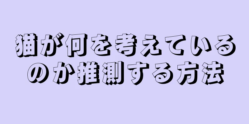 猫が何を考えているのか推測する方法