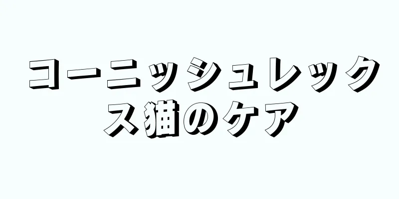 コーニッシュレックス猫のケア
