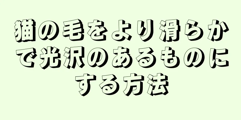 猫の毛をより滑らかで光沢のあるものにする方法