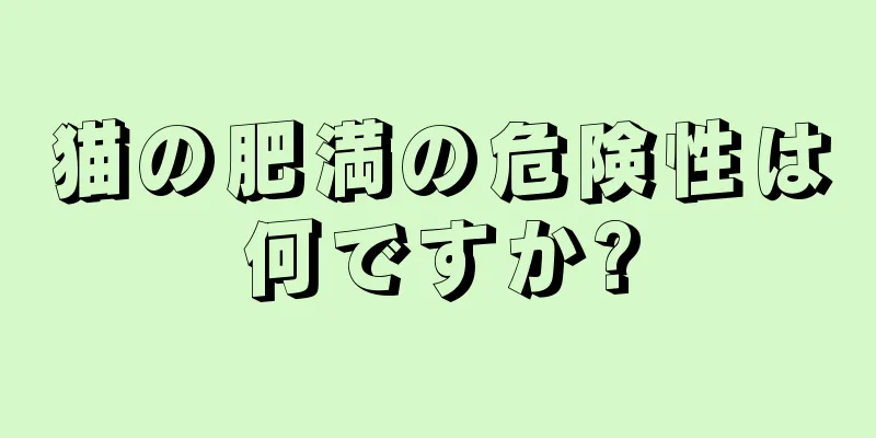 猫の肥満の危険性は何ですか?
