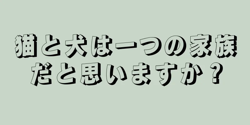 猫と犬は一つの家族だと思いますか？