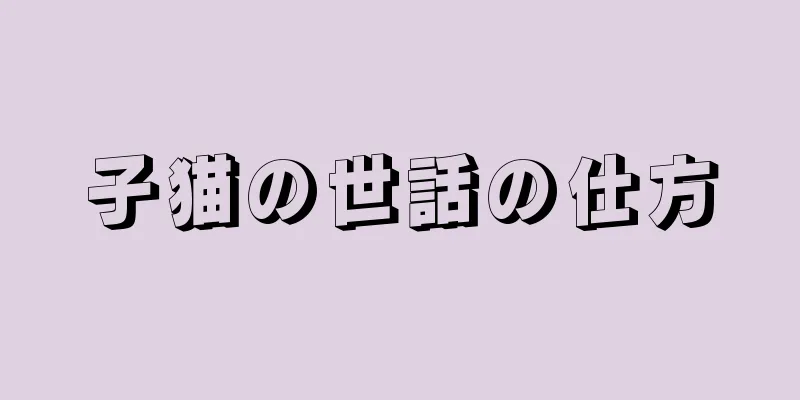 子猫の世話の仕方