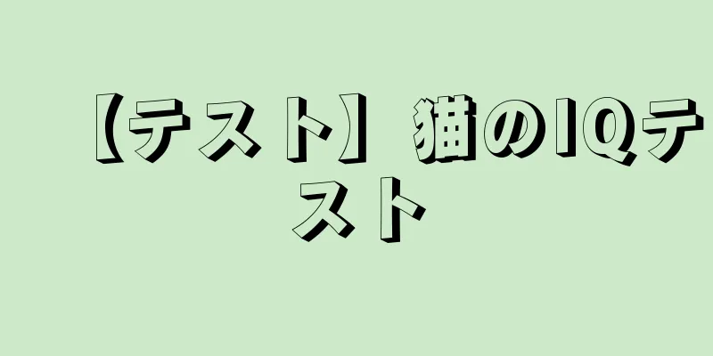 【テスト】猫のIQテスト