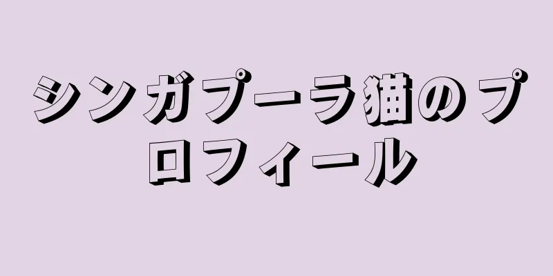 シンガプーラ猫のプロフィール