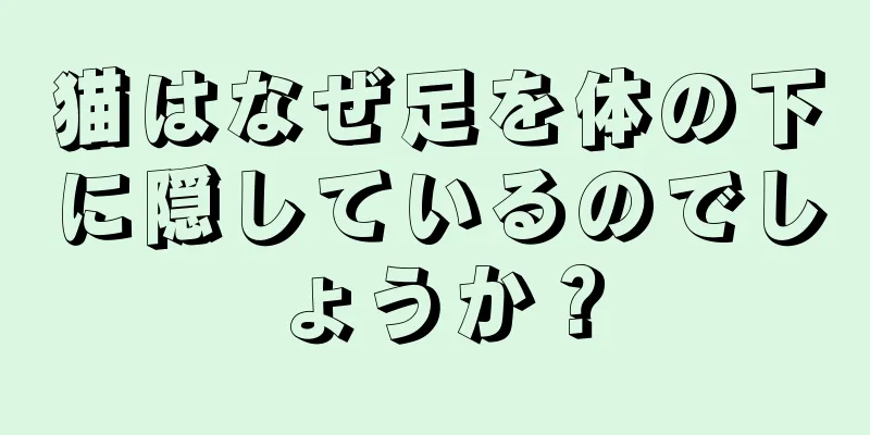 猫はなぜ足を体の下に隠しているのでしょうか？