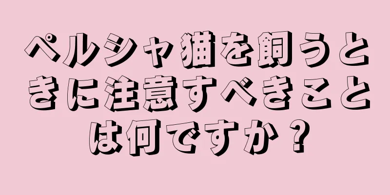 ペルシャ猫を飼うときに注意すべきことは何ですか？