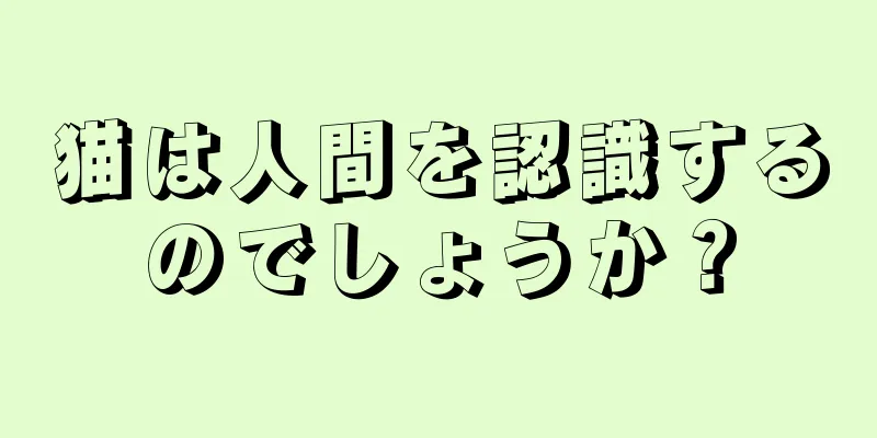 猫は人間を認識するのでしょうか？