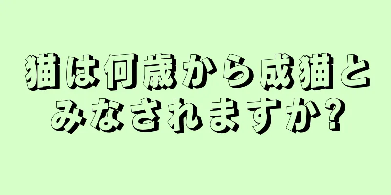 猫は何歳から成猫とみなされますか?