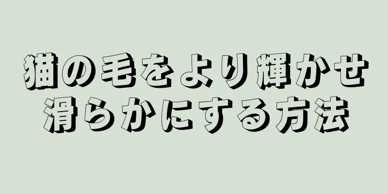 猫の毛をより輝かせ滑らかにする方法